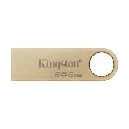 Флаш памет 256G USB3.2 DTSE9G3 KINGSTON